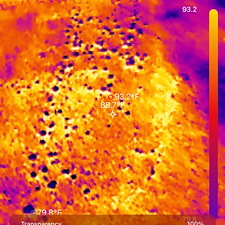 Thermal-Image-Roof-Inspection 0